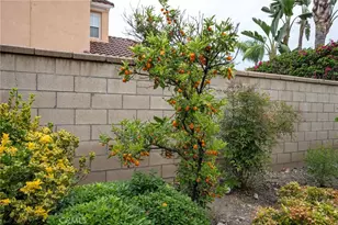 709 Livingston Ct, Claremont, CA 91711 - Photo 47