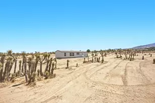11074 Ponderosa Rd, Pinon Hills, CA 92372 - Photo 31