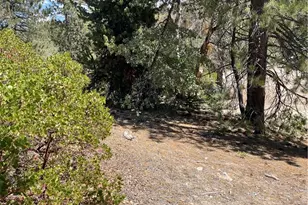 0 Arrowbear, Running Springs, CA 92382 - Photo 1