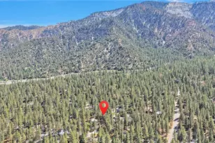 1600 Laura, Wrightwood, CA 92397 - Photo 47