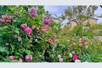 16817 Morning Dew Lane, Fontana, CA 92336 - Photo 55