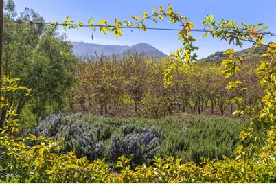 4620 Casitas Pass Road, Ventura, CA 93001 - Photo 3