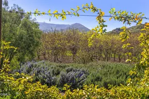 4620 Casitas Pass Rd, Ventura, CA 93001 - Photo 3