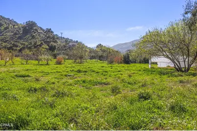 4620 Casitas Pass Road, Ventura, CA 93001 - Photo 9