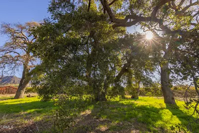 1201 Grand Avenue, Ojai, CA 93023 - Photo 7