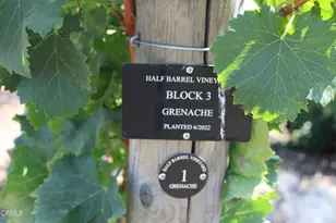 6150 Baja Vista Dr, Somis, CA 93066 - Photo 55