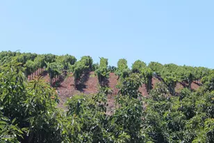 6150 Baja Vista Dr, Somis, CA 93066 - Photo 9