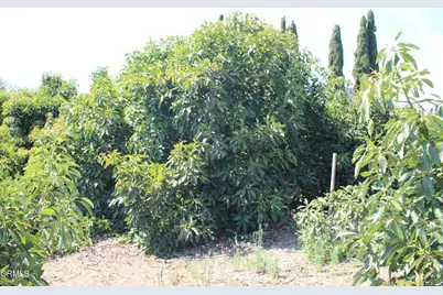 6150 Baja Vista Drive, Somis, CA 93066 - Photo 67