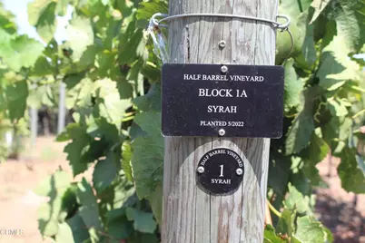 6150 Baja Vista Drive, Somis, CA 93066 - Photo 51