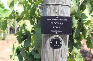 6150 Baja Vista Dr, Somis, CA 93066 - Photo 51