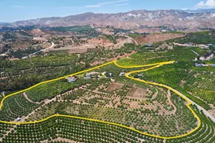 6150 Baja Vista Dr, Somis, CA 93066 - Photo 59