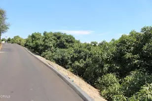 6150 Baja Vista Dr, Somis, CA 93066 - Photo 63