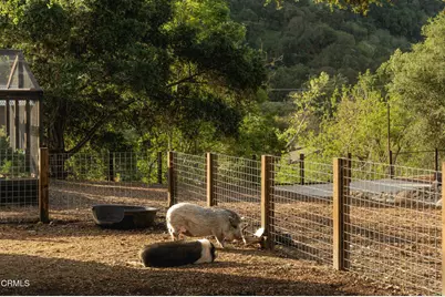 10802 10818 Oak Knoll Road, Ojai, CA 93023 - Photo 29