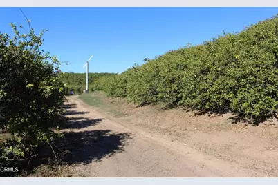 4363 Sand Canyon Road, Somis, CA 93066 - Photo 5