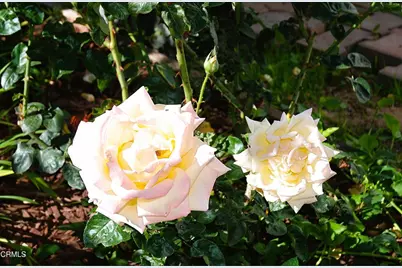 4388 E Central Avenue #63, Camarillo, CA 93010 - Photo 33