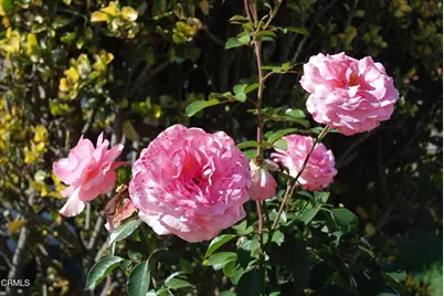 4388 E Central Avenue #63, Camarillo, CA 93010 - Photo 27