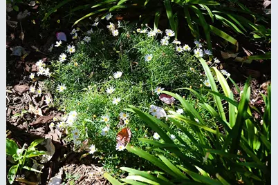 4388 E Central Avenue #63, Camarillo, CA 93010 - Photo 31