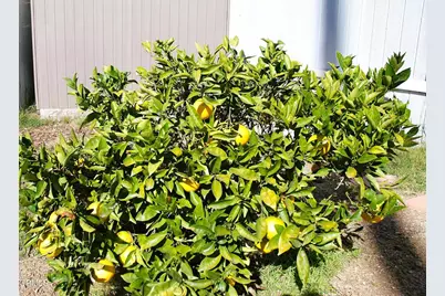 4388 E Central Avenue #63, Camarillo, CA 93010 - Photo 29