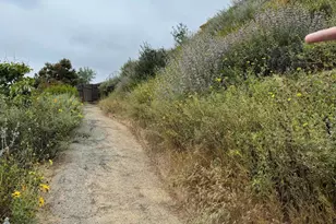 1184 Colina Vista Vista, Ventura, CA 93003 - Photo 37