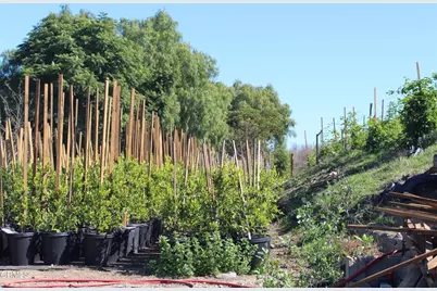 1672 E Los Angeles Avenue, Somis, CA 93066 - Photo 15