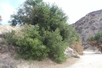 31029 Hasley Canyon Road, Castaic, CA 91384 - Photo 11