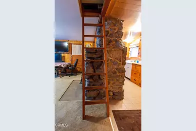 9320 Wood Road, Forest Falls, CA 92339 - Photo 9