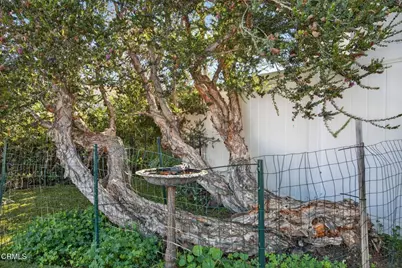 1040 Dover Lane, Ventura, CA 93001 - Photo 29