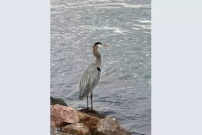 4126 Harbour Island Lane, Oxnard, CA 93035 - Photo 55