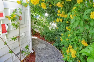 349 Ash Ave, Carpinteria, CA 93013 - Photo 17