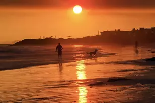 349 Ash Ave, Carpinteria, CA 93013 - Photo 53