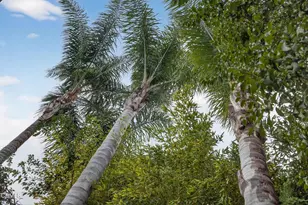 1420 La Paz Dr, Ojai, CA 93023 - Photo 43