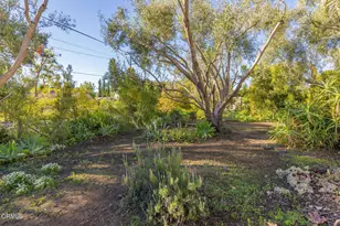 1227 Cruzero St, Ojai, CA 93023 - Photo 37