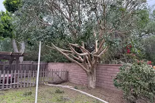 1524 Lyndhurst Ave, Camarillo, CA 93010 - Photo 7