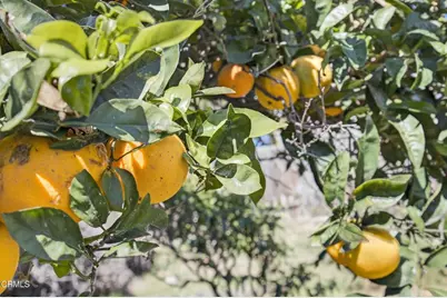 7451 Marmota Court, Ventura, CA 93003 - Photo 41