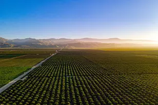 14500 Maricopa Hwy, Bakersfield, CA 93311 - Photo 59