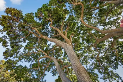 1721 Joanne Way, Oxnard, CA 93030 - Photo 5