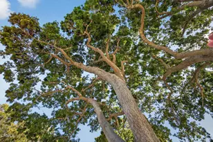 1721 Joanne Way, Oxnard, CA 93030 - Photo 5