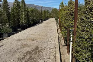 2245 California Ave, Fillmore, CA 93015 - Photo 37