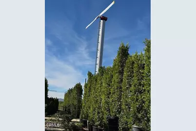 2245 California Avenue, Fillmore, CA 93015 - Photo 13