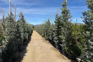 2245 California Ave, Fillmore, CA 93015 - Photo 25