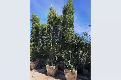 2245 California Avenue, Fillmore, CA 93015 - Photo 21