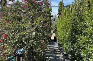 2245 California Ave, Fillmore, CA 93015 - Photo 19