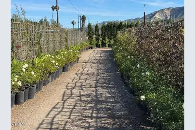 2245 California Avenue, Fillmore, CA 93015 - Photo 33