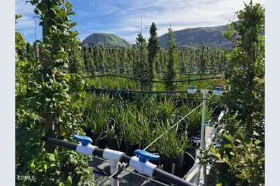 2245 California Avenue, Fillmore, CA 93015 - Photo 29