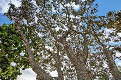 281 Glen Ellen Drive, Ventura, CA 93003 - Photo 49