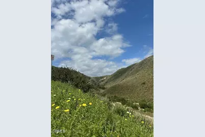 310 N Kalorama Street, Ventura, CA 93001 - Photo 39