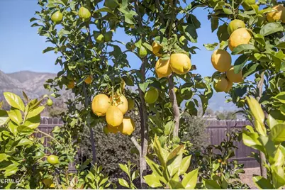 1318 La Paz Drive, Ojai, CA 93023 - Photo 45