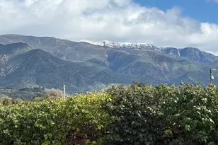 910 Mercer Ave, Ojai, CA 93023 - Photo 3