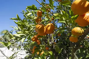 2550 Riave Ct, Camarillo, CA 93012 - Photo 35