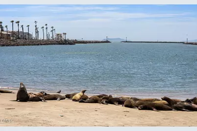 292 Highland Drive, Oxnard, CA 93035 - Photo 57